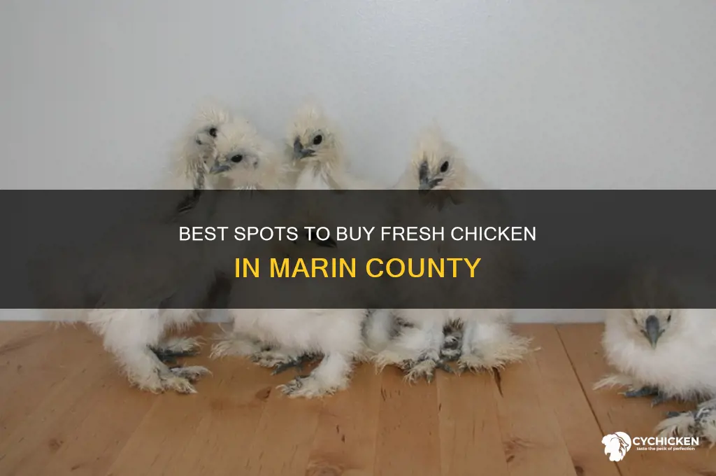 where to buy chicken in marin county