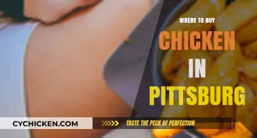 Best Spots to Buy Fresh Chicken in Pittsburgh: A Local's Guide