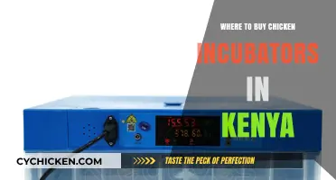 Best Places to Buy Chicken Incubators in Kenya: A Guide