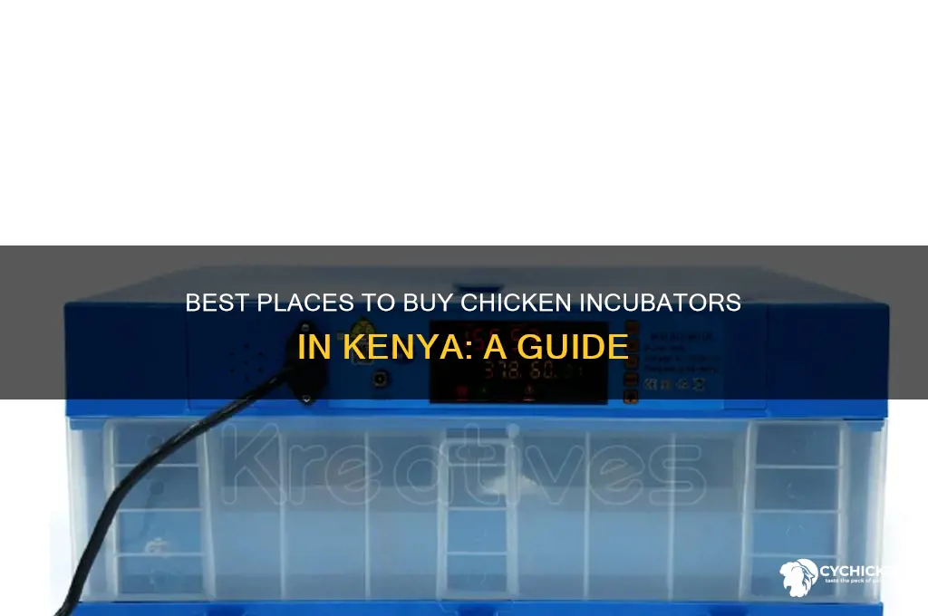 where to buy chicken incubators in kenya