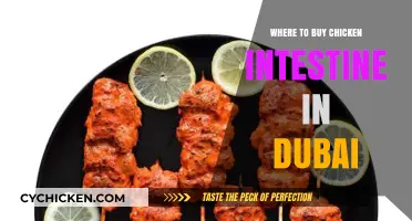 Discover Top Spots to Buy Chicken Intestine in Dubai