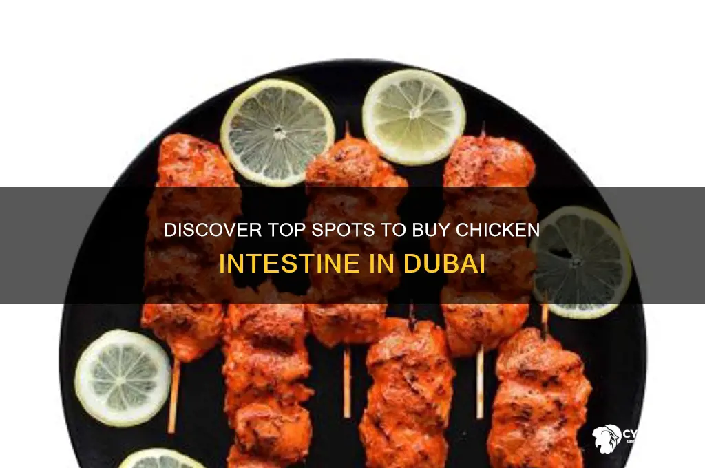 where to buy chicken intestine in dubai