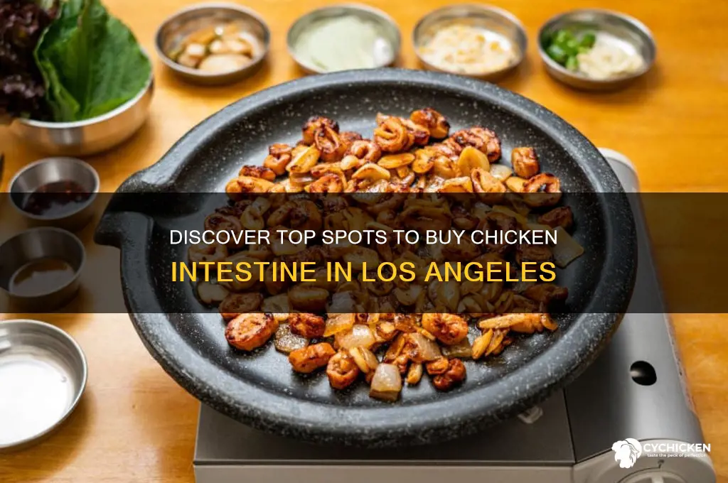 where to buy chicken intestine in los angeles
