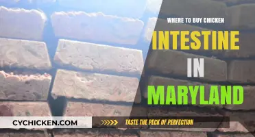 Discover Maryland's Best Spots to Buy Fresh Chicken Intestine