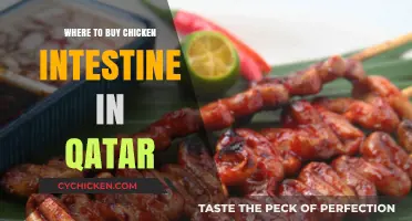 Discover the Best Spots to Buy Chicken Intestine in Qatar