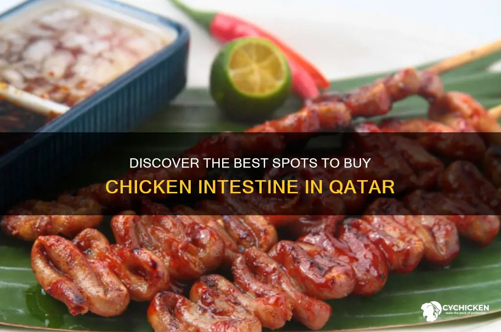 where to buy chicken intestine in qatar