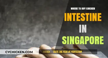 Discover Singapore's Best Spots to Buy Fresh Chicken Intestine