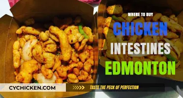 Edmonton's Best Spots to Buy Fresh Chicken Intestines for Cooking