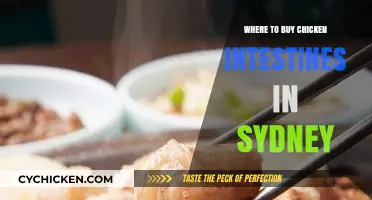 Sydney's Best Spots to Buy Fresh Chicken Intestines Easily