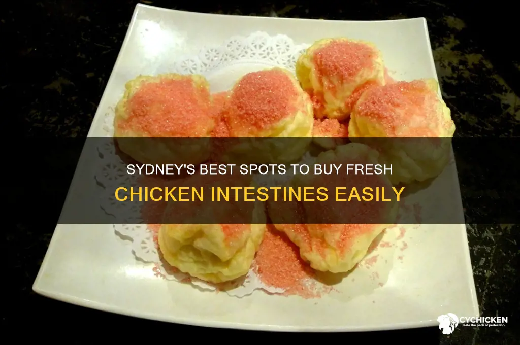 where to buy chicken intestines in sydney
