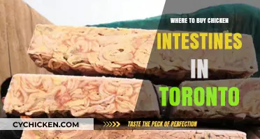 Discover Toronto's Best Spots for Chicken Intestines: A Tasty Guide