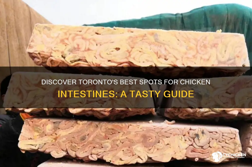 where to buy chicken intestines in toronto