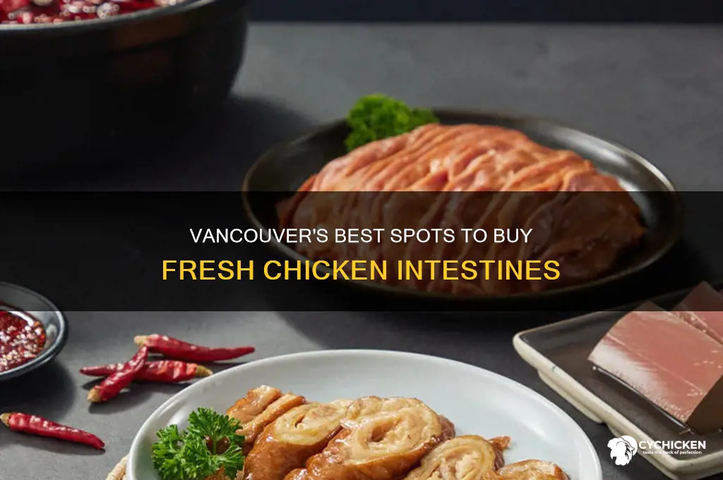 where to buy chicken intestines in vancouver
