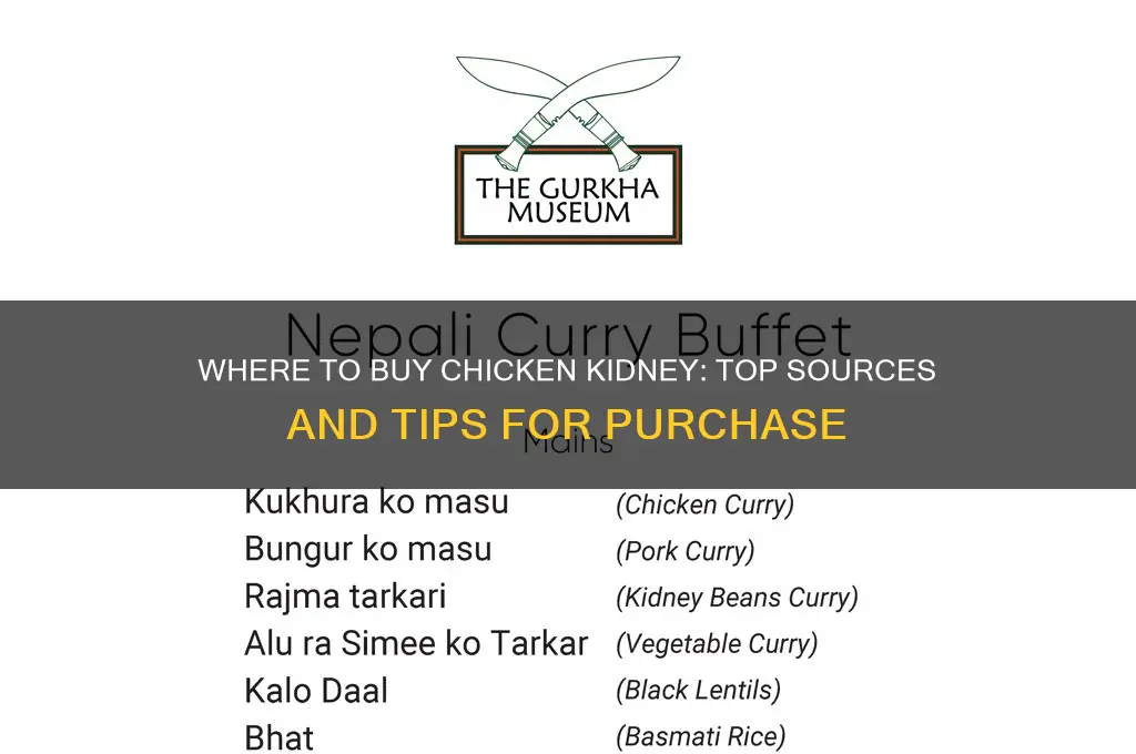 where to buy chicken kidney