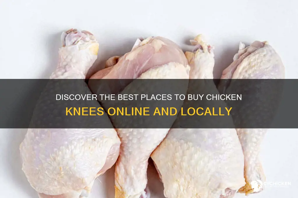 where to buy chicken knee