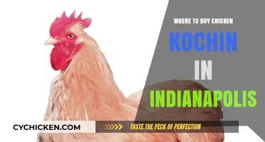 Discover the Best Spots to Buy Chicken Kochin in Indianapolis