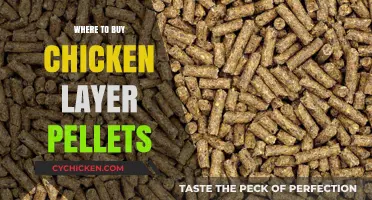 Best Places to Buy High-Quality Chicken Layer Pellets