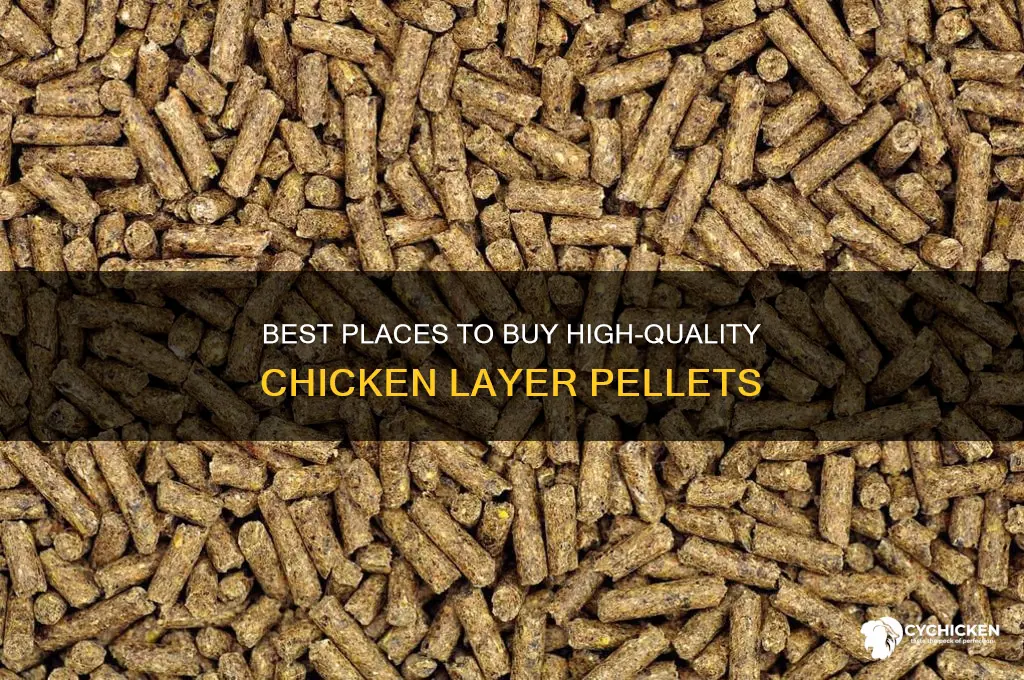where to buy chicken layer pellets