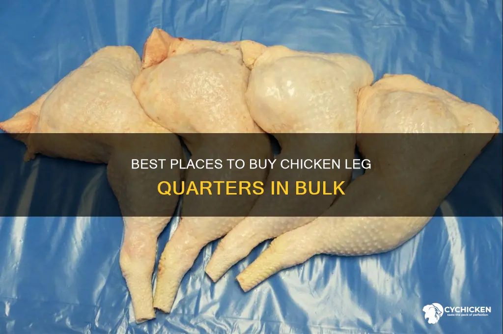 where to buy chicken leg quarters in bulk