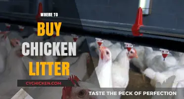 Best Places to Purchase Quality Chicken Litter for Your Flock