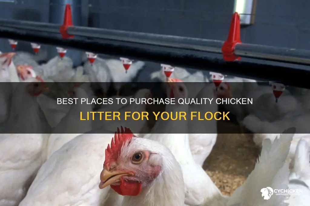 where to buy chicken litter