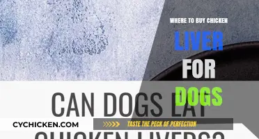 Best Places to Buy Chicken Liver for Dogs: A Healthy Treat Guide