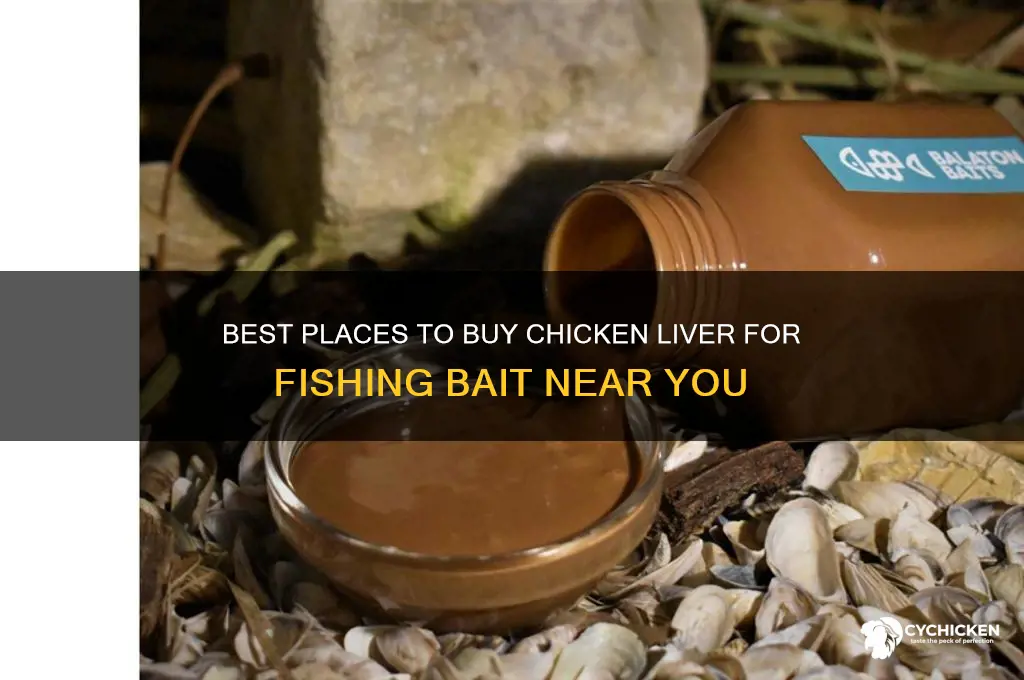 where to buy chicken liver for fishing