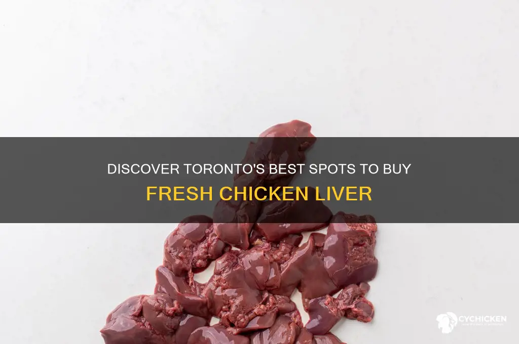 where to buy chicken liver in toronto
