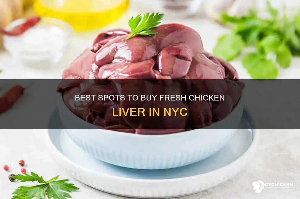 where to buy chicken liver nyc