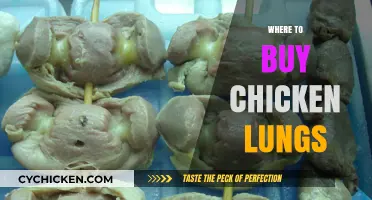 Where to Buy Chicken Lungs: A Comprehensive Guide for Buyers