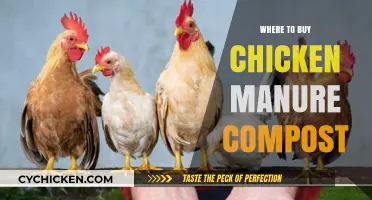 Best Places to Purchase High-Quality Chicken Manure Compost