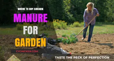 Best Places to Purchase Chicken Manure for Your Garden