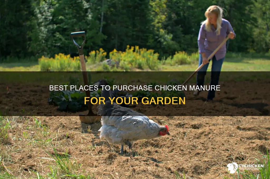 where to buy chicken manure for garden
