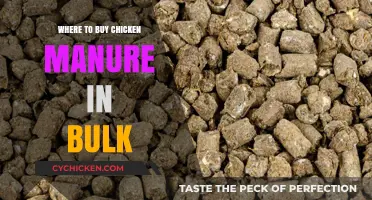 Bulk Chicken Manure: Top Suppliers for Organic Fertilizer Needs