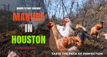 Houston's Top Spots to Purchase Quality Chicken Manure for Gardens
