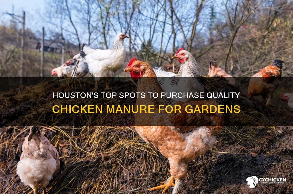 where to buy chicken manure in houston
