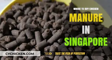 Where to Buy Chicken Manure in Singapore: Top Sources