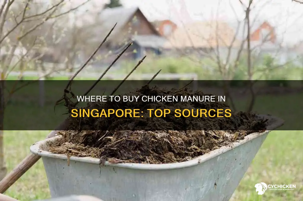where to buy chicken manure in singapore
