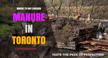 Top Toronto Spots to Purchase Quality Chicken Manure for Gardens