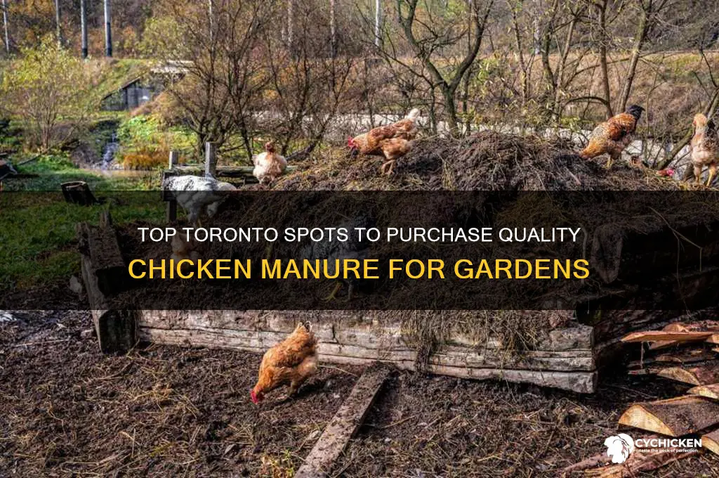 where to buy chicken manure in toronto