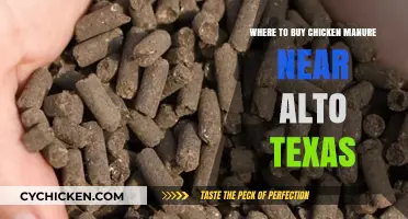 Find Chicken Manure Suppliers Near Alto, Texas: Top Local Sources