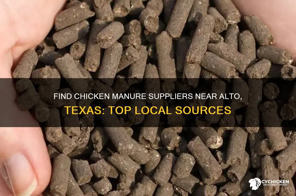 where to buy chicken manure near alto texas