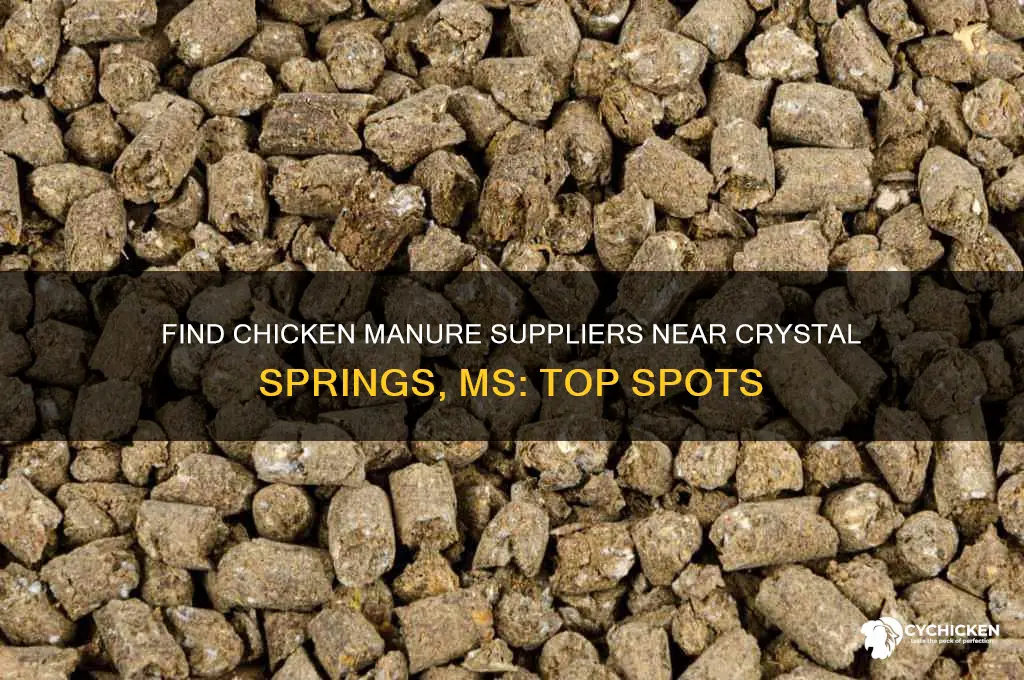 where to buy chicken manure near crystal springs ms