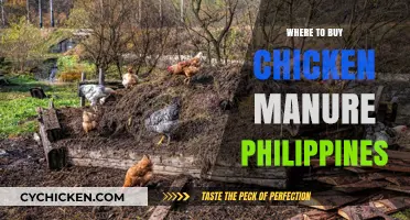 Where to Buy Chicken Manure in the Philippines: A Guide