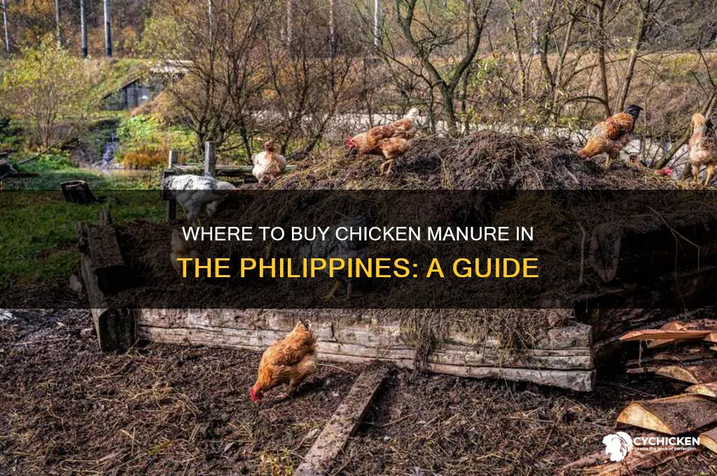 where to buy chicken manure philippines