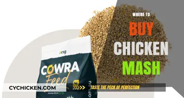 Best Places to Buy Chicken Mash for Healthy Poultry Feeding