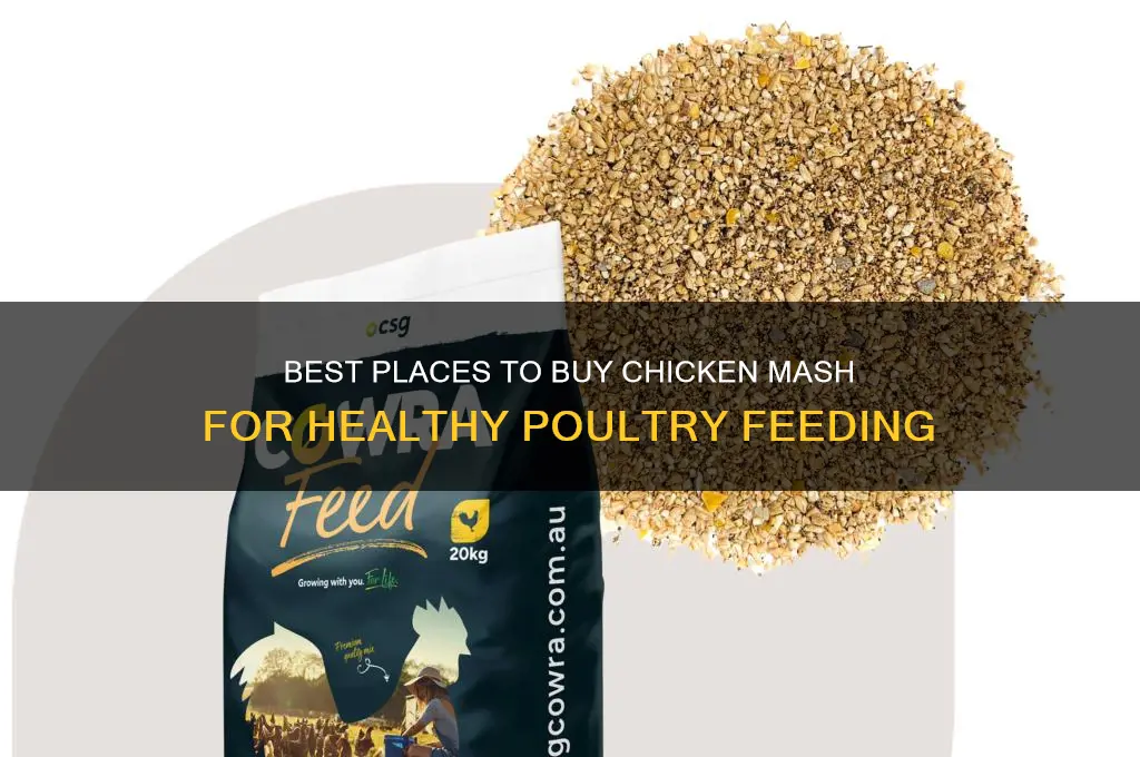 where to buy chicken mash