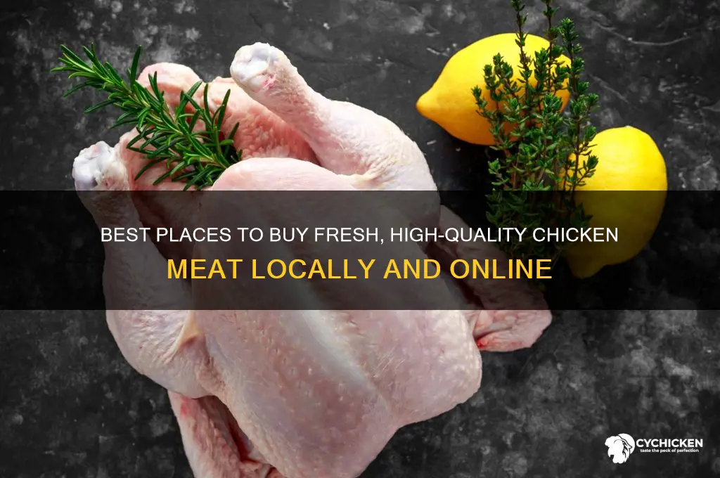 where to buy chicken meat