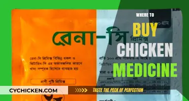 Essential Guide: Where to Buy Chicken Medicine for Healthy Flocks