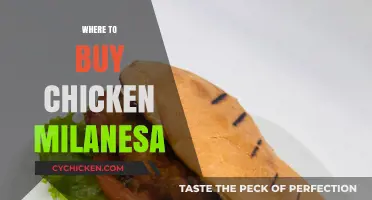 Discover the Best Spots to Buy Authentic Chicken Milanesa